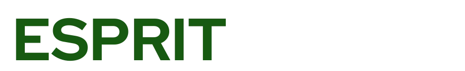 Esprit Forme